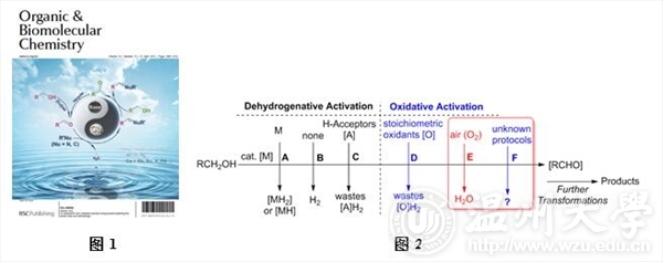 胺、酰胺结构是重要的有机合成砌块、广泛存在于各种天然产物、生物活性和药物分子中,因此这一系列化合物的合成方法一直受到国内外有机化学家的密切关注。与传统的Hofmann N-烷基化反应、过渡金属催化的Ullmann/Buchwald–Hartwig偶联等反应相比较,醇与胺/酰胺的脱水偶联反应具有原料易得廉价、原子经济性较高、唯一副产物为水等绿色化学的特点,近年来得到了合成化学、金属有机化学、绿色化学等多领域的广泛关注。