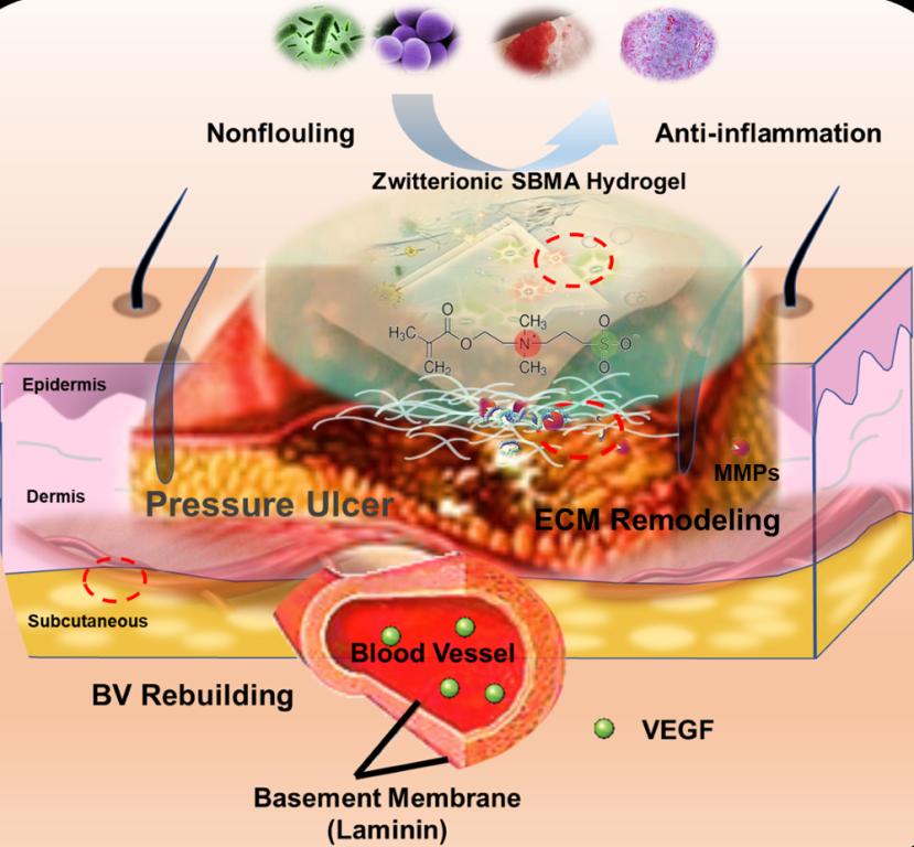 发布时间:2016-11-29    来源:化材学院    作者:    点击6747次[点击