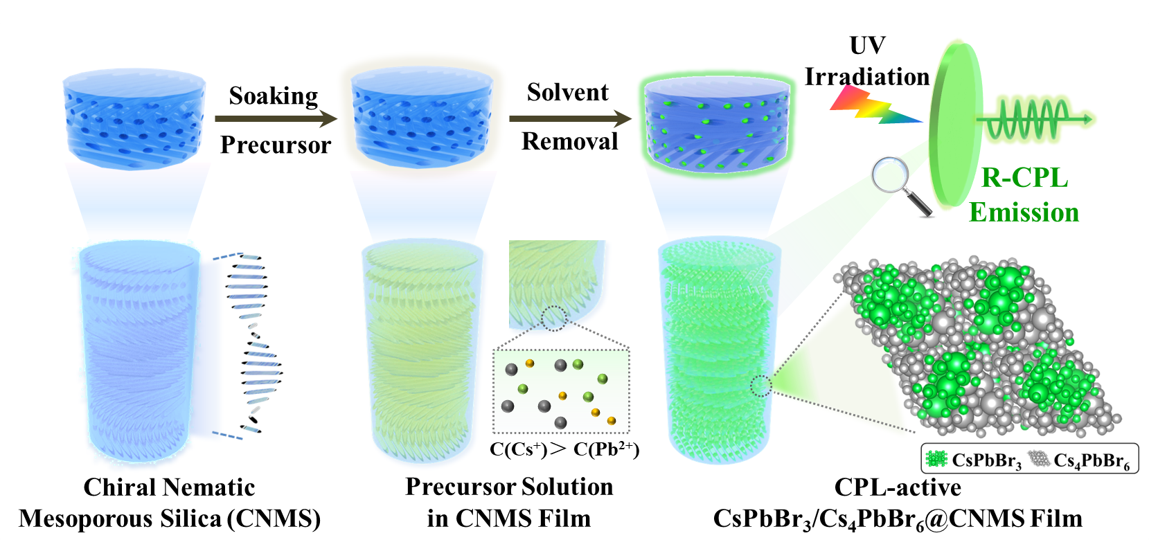 我校王舜教授/潘霜副教授在国际著名期刊Chemical Engineering Journal发表学术论文 温州大学化学与材料工程学院